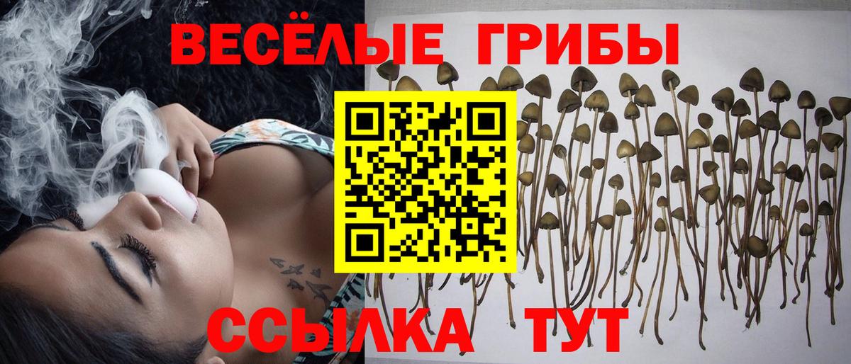 Еманжелинск  Псилоцибиновые грибы Psilocybe  Вход с VPN 